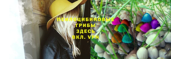бутират Белокуриха