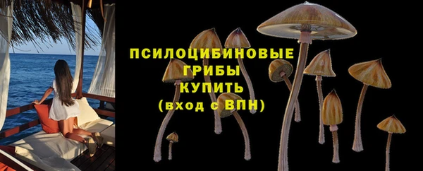 бутират Белокуриха