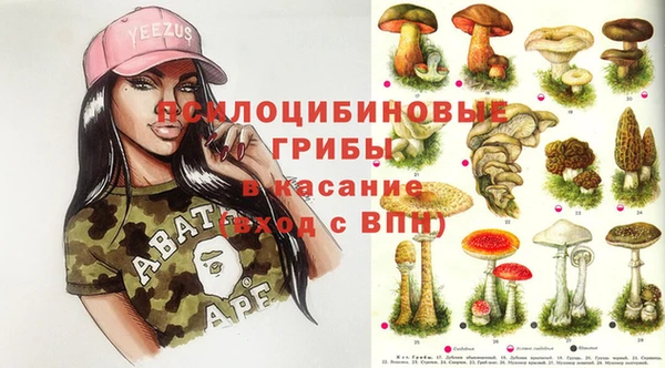 бутират Белокуриха