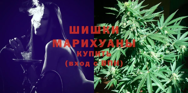 бутират Белокуриха