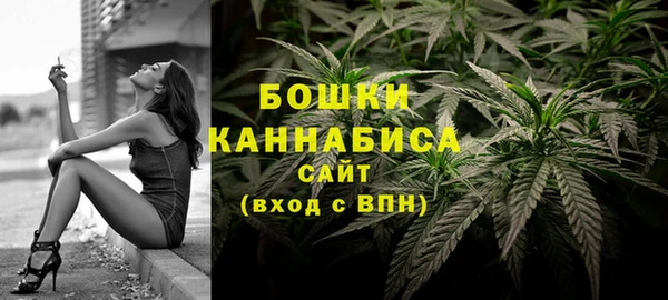 бутират Белокуриха