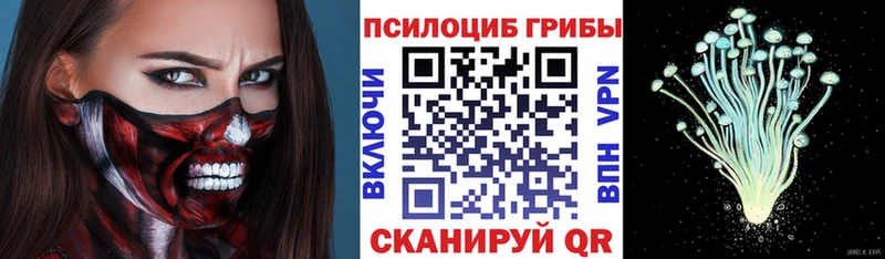 Галлюциногенные грибы Magic Shrooms  закладки  Всеволожск 
